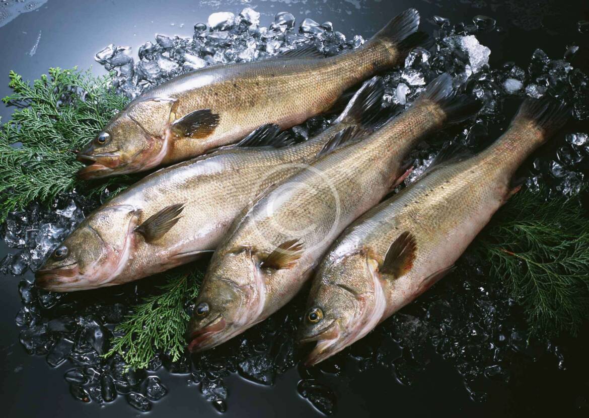 Working on environmental improvement