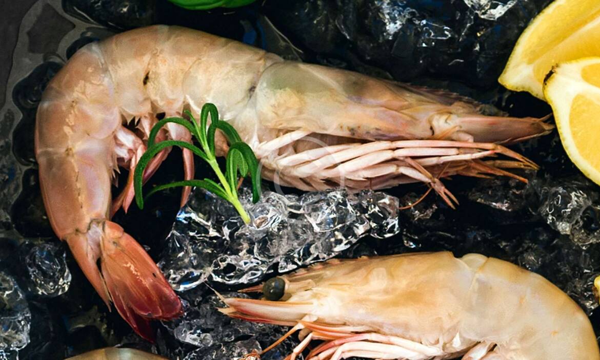 Shrimp & Papaya Salad