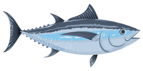 tuna